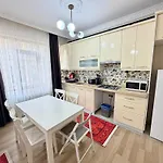 Sari Istanbul