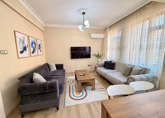 Sari イスタンブール