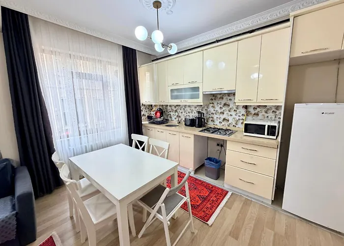 Sari イスタンブール