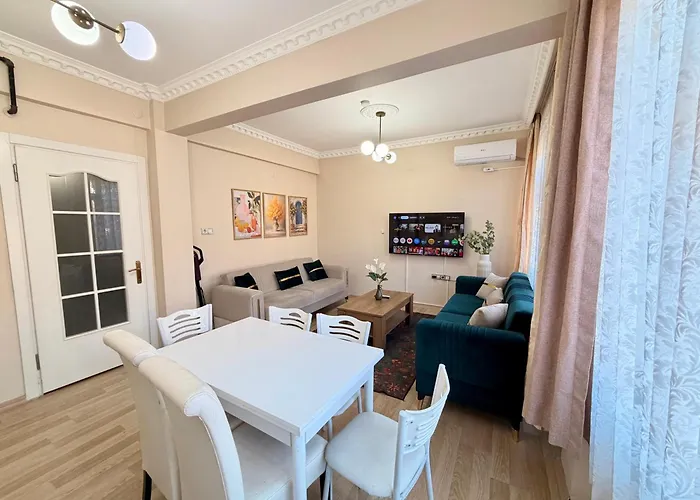 Sari イスタンブール