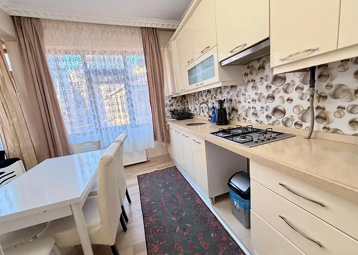 Sari * イスタンブール